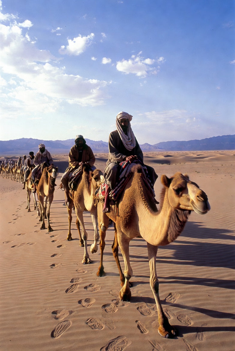 Why Silk Road Camel Jockeys Would’ve Been Obsessed with Tidetreats (If Only They’d Had Amazon Prime in 200 AD)